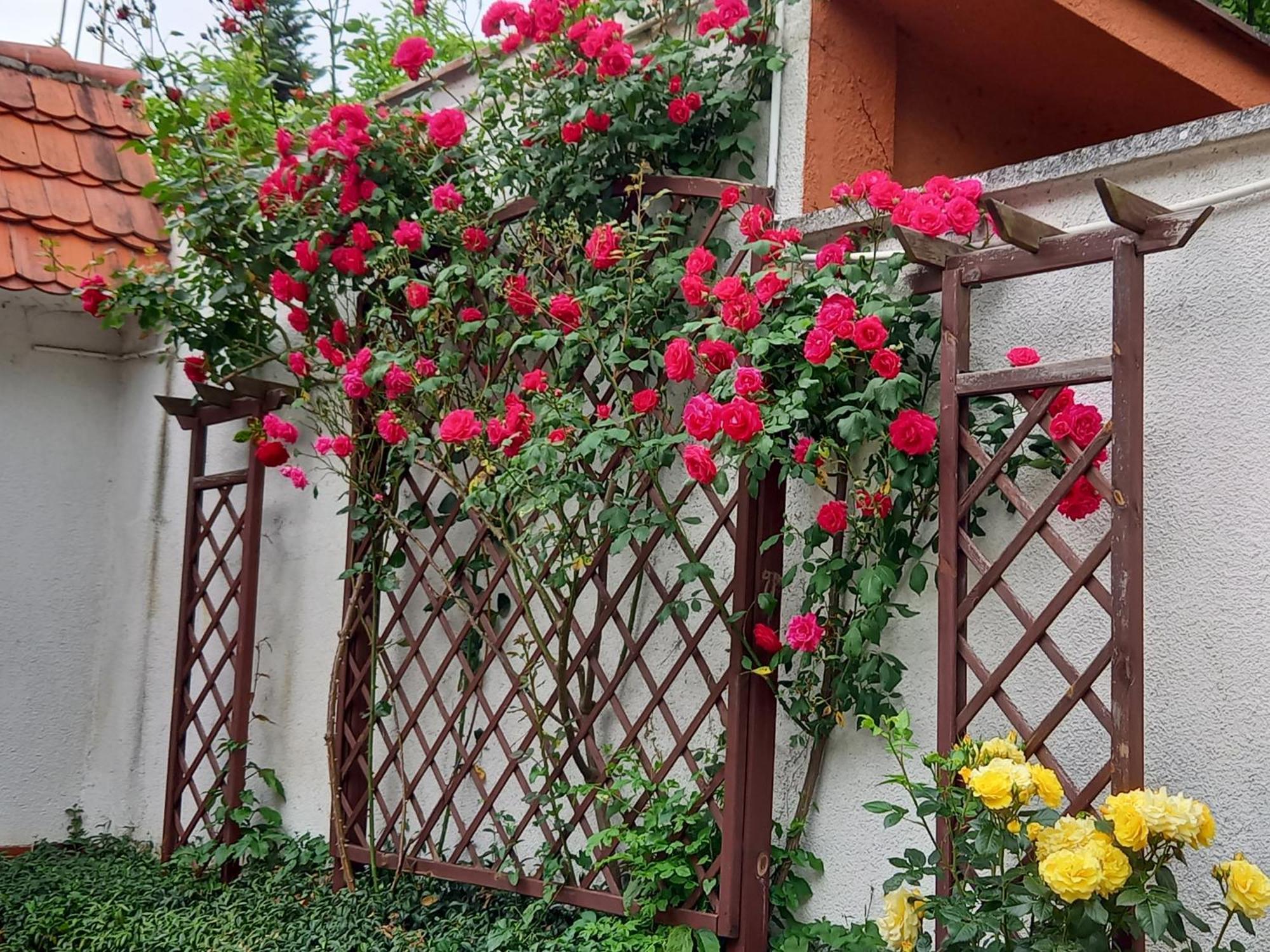 Apartament 2-Pokojowy 55 M2, Kolo Zoo, Hali Stulecia Breslávia Exterior foto